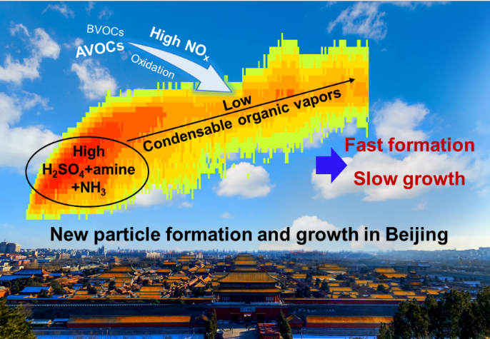 20220721-12BET蒋靖坤研究组揭示城市大气环境中新粒子生长缓慢的原因-李晓晓-北京大气新粒子快速生成与缓慢生长示意图png